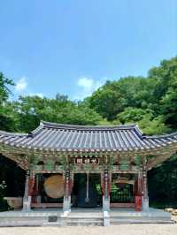 주말이 더욱 빛나는 나들이, 고성 옥천사🌿
