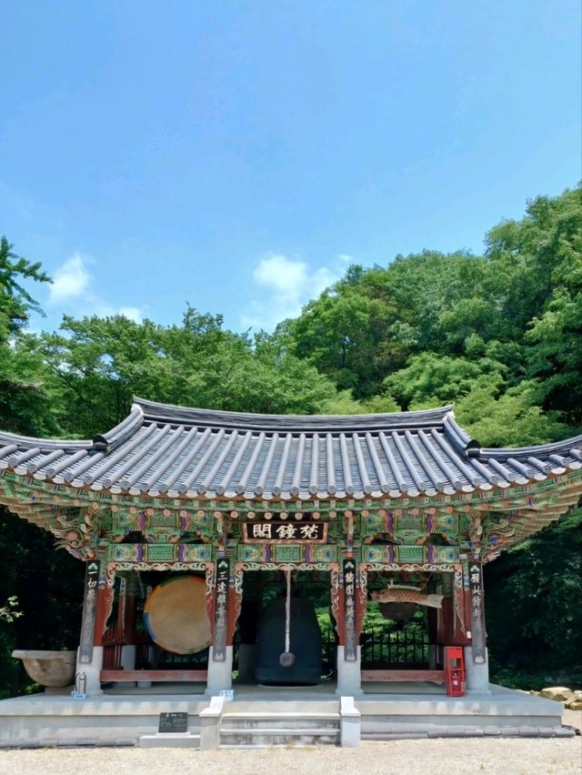 주말이 더욱 빛나는 나들이, 고성 옥천사🌿