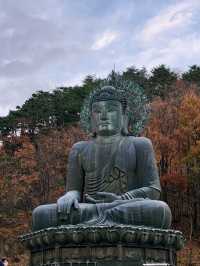 [설악산 여행기] 걷는 것만으로도 위로가 되는 시간, 설악산🌲