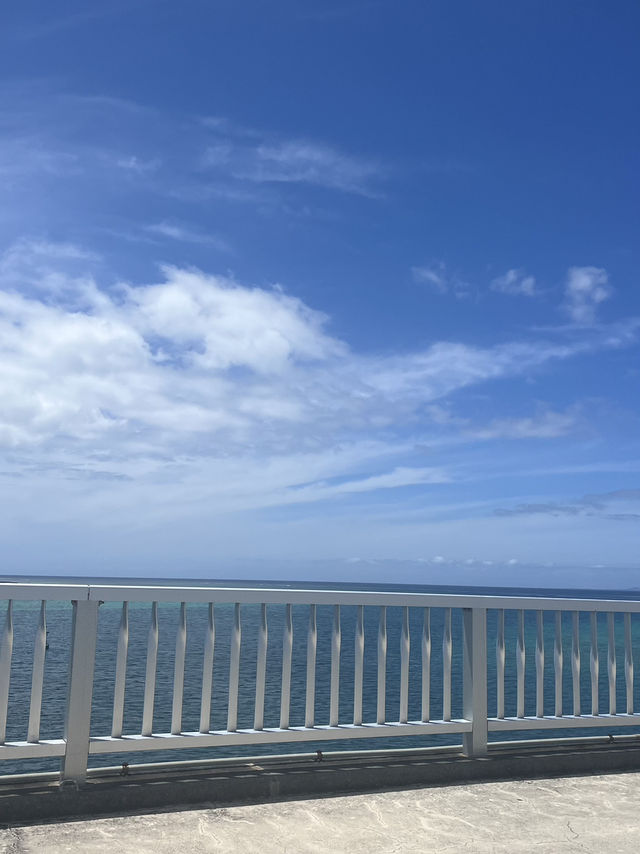 1泊2日の沖縄旅行が最高すぎた...