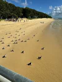 ออสเตรเลีย🇦🇺