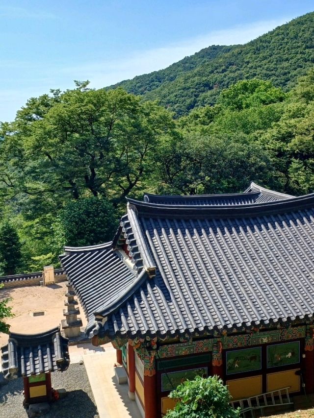 장춘사에서 만나는 조용한 힐링의 순간