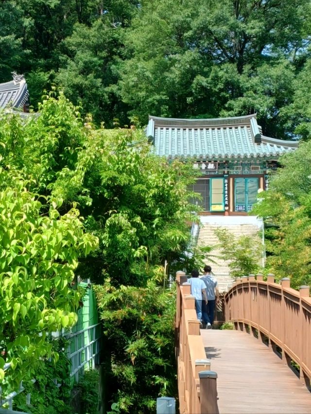 초록과 분홍이 어우러지는 힐링여행 🌸🌿