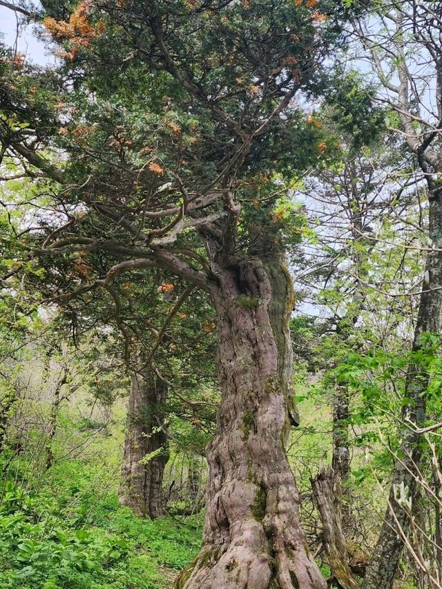 Gariwangsan’s Peaceful Power Hike