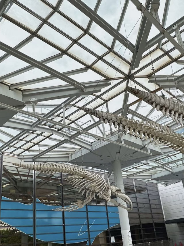 A Deep Exploration of Nature – My Visit to the Osaka Museum of Natural History 🦕
