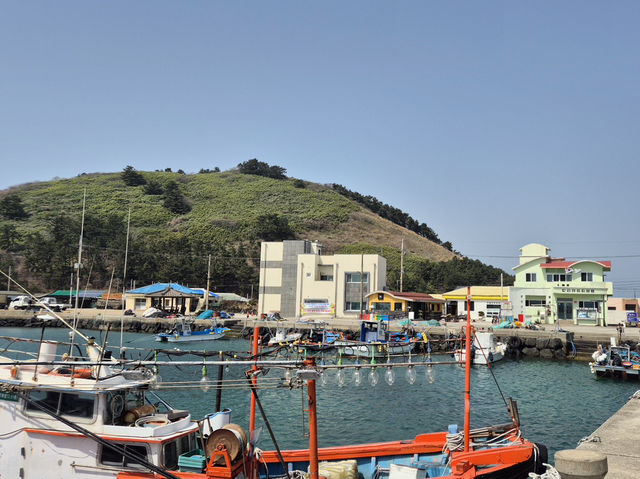 🌊 제주에서 보내는 하루 – 함덕부터 비양도까지 감성 코스