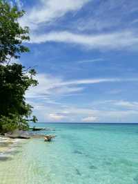 Guardians of Paradise: Diving with Turtles and a Post Office