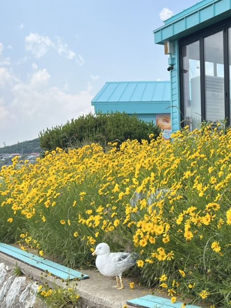 동해 둘러보기