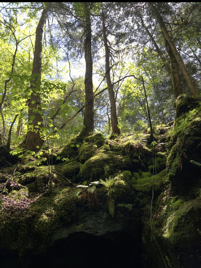 ❄️夏でもひんやり！神秘の洞窟・富岳風穴で非日常体験🌋