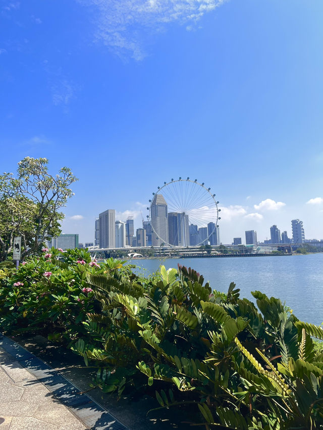 How I spent 1 day in Singapore