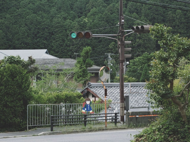 Riding the Eizan Electric Railway: A Day of Green Serenity in Kyoto 🍃🚃