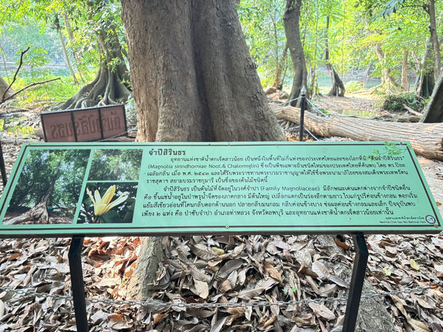อุทยานแห่งชาติน้ำตกเจ็ดสาวน้อย
