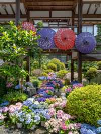  🌸茨城｜雨引観音（雨引山 楽法寺）  安産・子育てにご利益あり、四季折々の花々に包まれる参拝と癒しのスポット