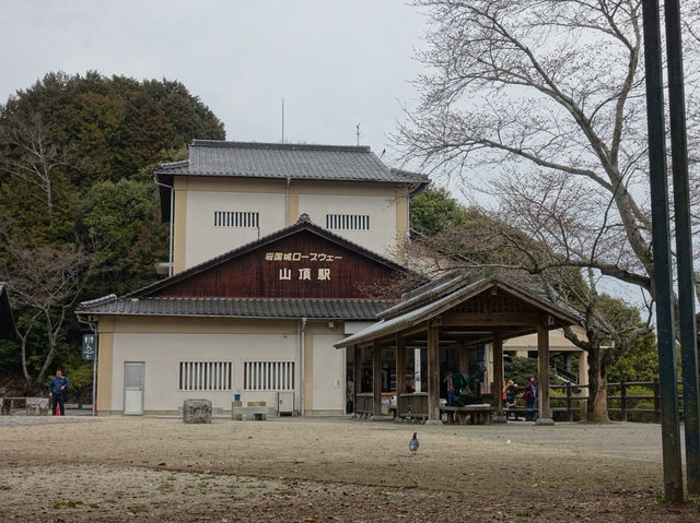 🏯 Climbing to the Sky – Iwakuni Castle Adventure