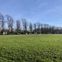 🌼 Open Space and City Views at Victoria Park