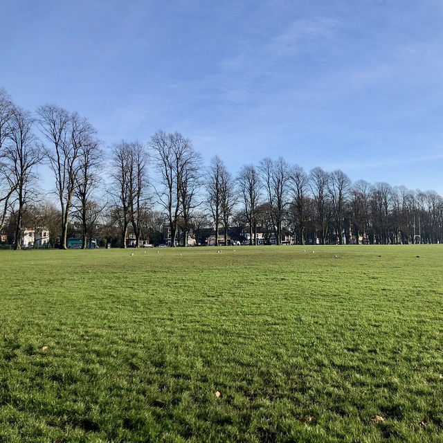 🌼 Open Space and City Views at Victoria Park