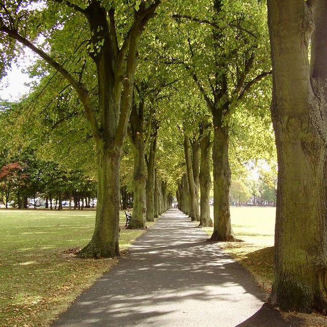 🌼 Open Space and City Views at Victoria Park