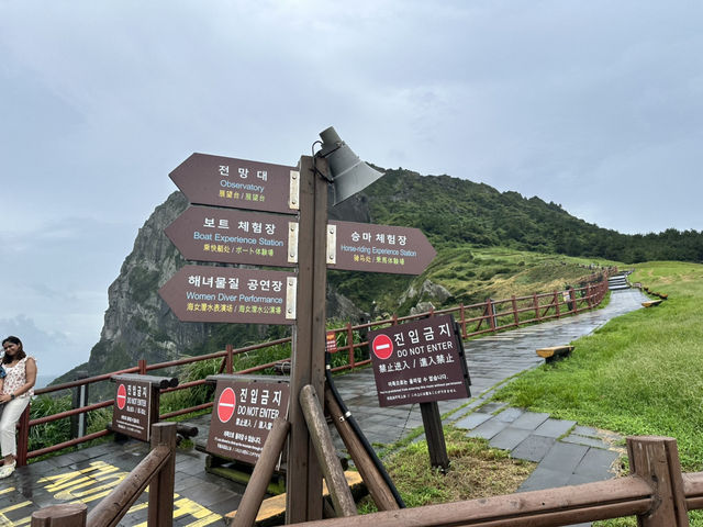 🌄「征服濟州曙光之巔！站上世界遺產的壯闊視角」 