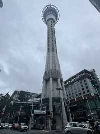 Catching the Kiwi in Chilly Auckland 