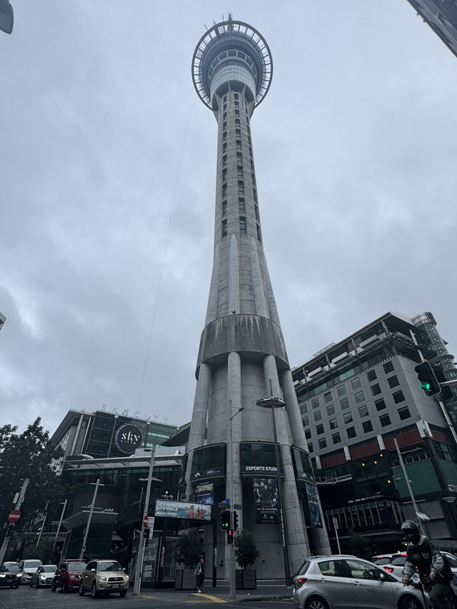 Catching the Kiwi in Chilly Auckland 