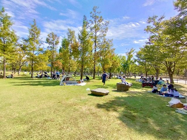 Nature preserve in Busan, South Korea