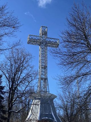 🌲 [Take a deep breath above the city! A relaxing hike with a spectacular view in Mont Royal Park]