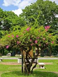Lumphini Park, Bangkok. 