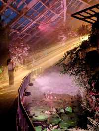 京都 | 京都府立植物園 - Light Cycles