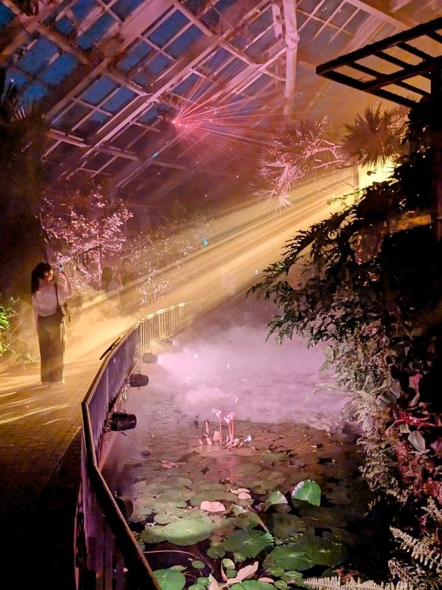 京都 | 京都府立植物園 - Light Cycles