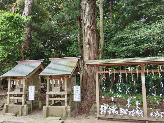 東国三社巡り　息栖神社！
