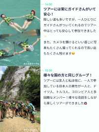 【こんなに近くに？👀】セブ島の大迫力ツアー🦈✨
