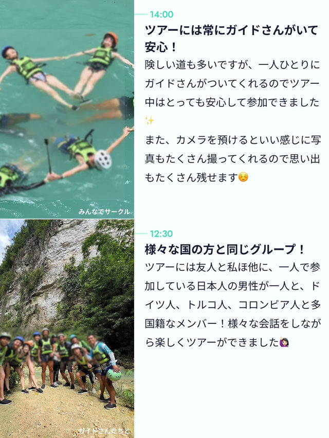 【こんなに近くに？👀】セブ島の大迫力ツアー🦈✨