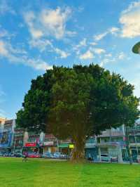 🌳【中壢親子寵物雙友善】興仁親子公園：綠意草皮 × 溜滑梯 × 野餐散步超放鬆！