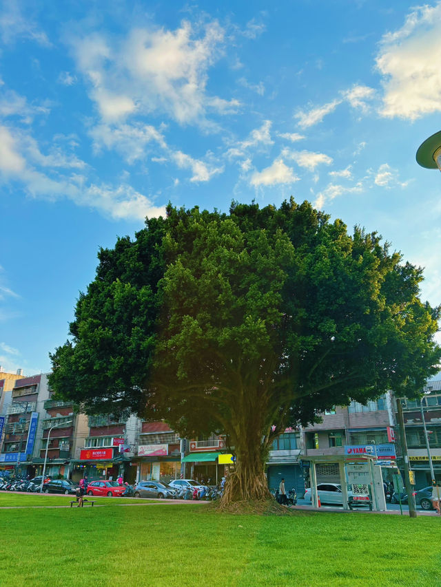 🌳【中壢親子寵物雙友善】興仁親子公園：綠意草皮 × 溜滑梯 × 野餐散步超放鬆！