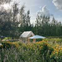 🍃🪵 ที่พักเขาใหญ่บนเนินเขา Pet friendly