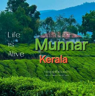 🌄 Munnar, Kerala – The Crown Jewel of the Western Ghats 💚