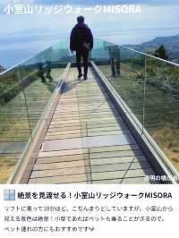 【必見の穴場スポット👀】静岡・伊東でDay Trip✈️