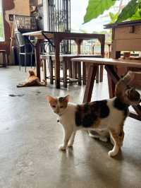 Thrrmda Bar & Eatery