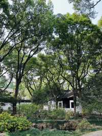 🌸 Discover Zuibaichi Park Shanghai | Ancient Poetry Garden & Tranquil Beauty