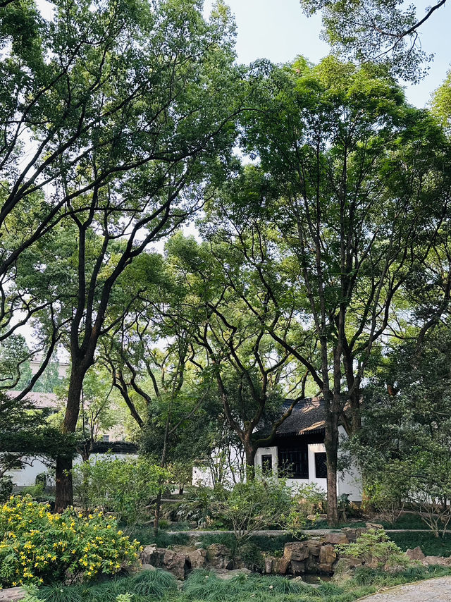 🌸 Discover Zuibaichi Park Shanghai | Ancient Poetry Garden & Tranquil Beauty