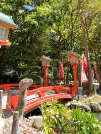 ⛩️ 후쿠오카 도심 속 고요한 신사 – 스미요시 신사