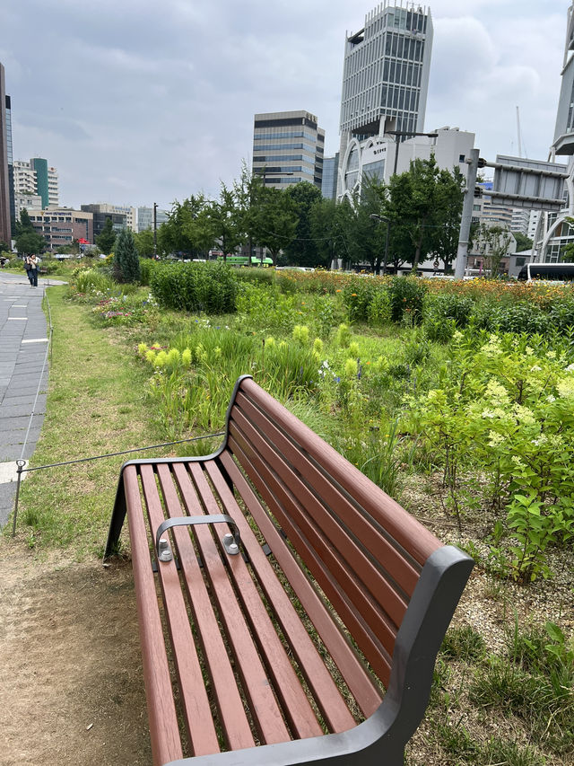 광화문 거리와 열린 송현