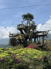 Weekend Calls—Who’s In? Sapa Edition
