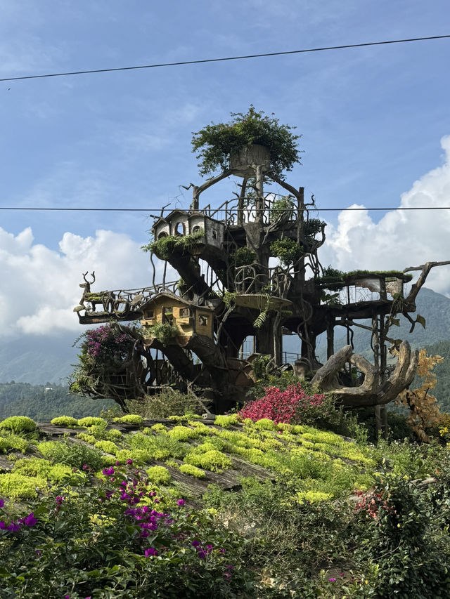 Weekend Calls—Who’s In? Sapa Edition