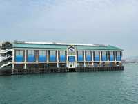 A Sea Faring History of Hong Kong — The Maritime Museum