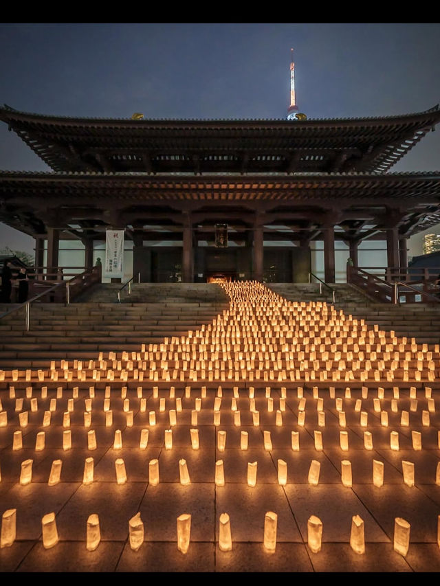 🛕東京・芝公園｜増上寺｜東京タワーを背に佇む、徳川家ゆかりの大本山で心を整えるひととき🗼✨