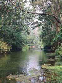 Chitwan National Park