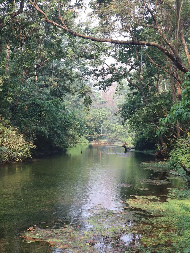 Chitwan National Park