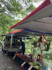 A Relaxing Trip in Jiaoxi, Yilan
