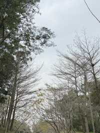飛牛牧場